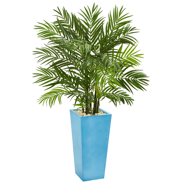 Bay Isle Home 54'' Artificial Palm Tree in Planter Wayfair